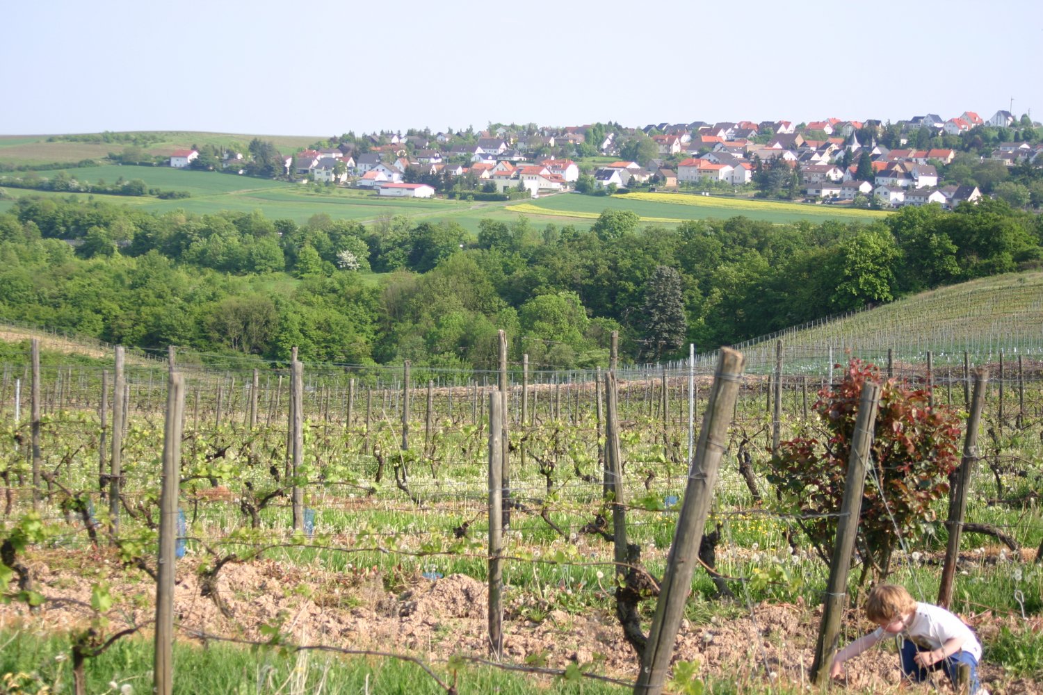 Dorsheim an der Nahe